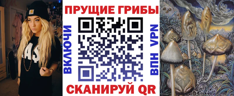 что такое Ефремов Псилоцибиновые грибы GOLDEN TEACHER