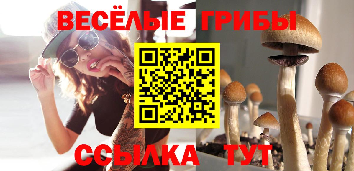Псилоцибиновые грибы Psilocybine cubensis  Вход с VPN  Ефремов 