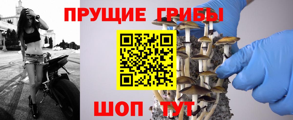 Галлюциногенные грибы прущие грибы Ефремов